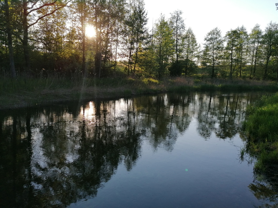 01.09 - IMG_20210530_192554 (Czesio1)