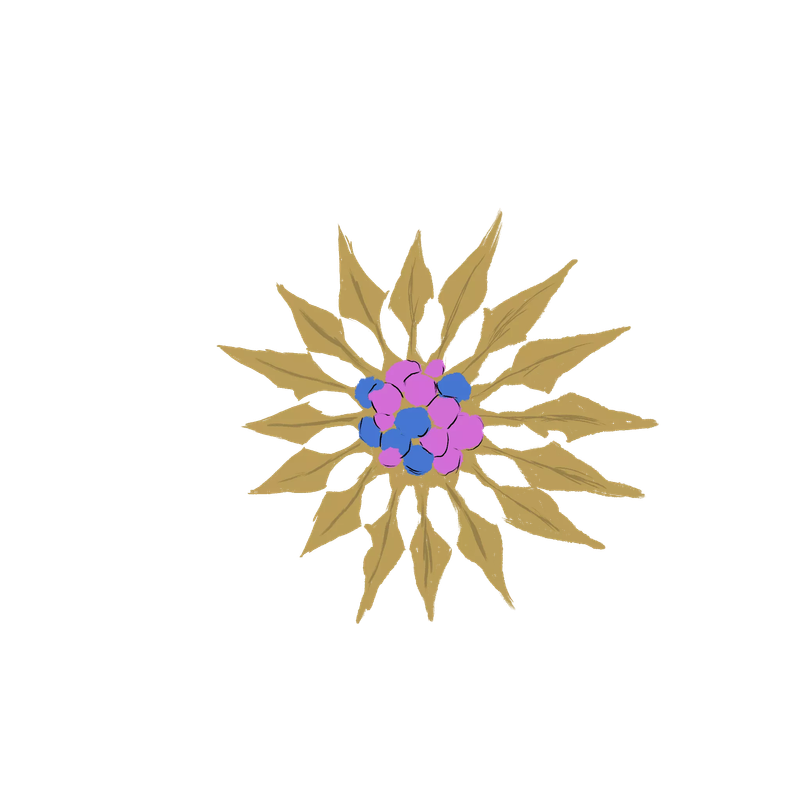 received_3242737402498536