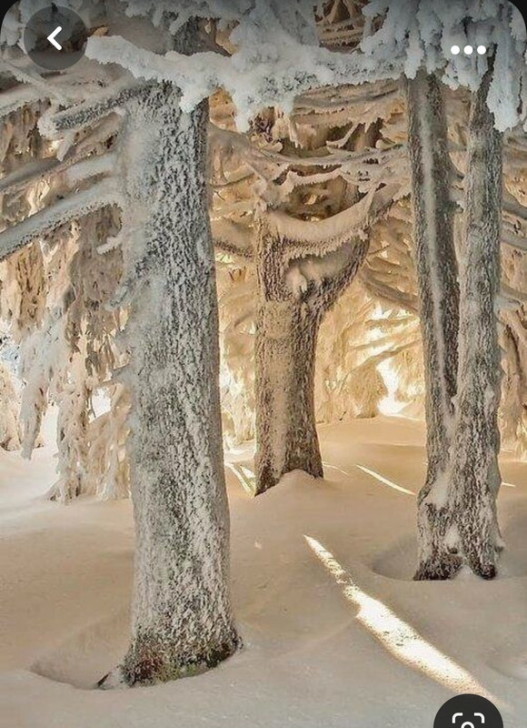 Screenshot_20231016_233035_Pinterest