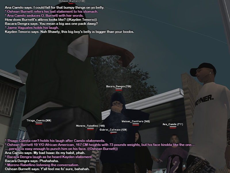 SS1.png
