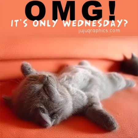 OMG-its-only-Wednesday