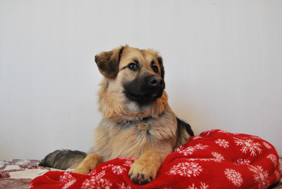 933302F5-B361-4319-843F-0CB15CFAD190