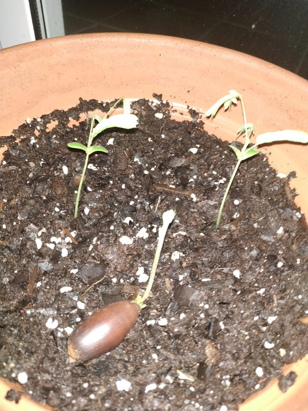 WhatsApp Image 2020-05-27 at 13.33.06 (3)