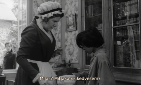 A vad gyerek (L' Enfant sauvage / The wild child) (1970) 720p BluRay H264 AAC HUNSUB MKV - fekete-fehér, feliratos francia dráma, 81 perc L3