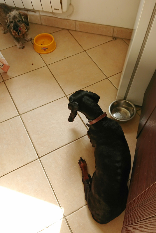 [Image: 20231003-140740.jpg]