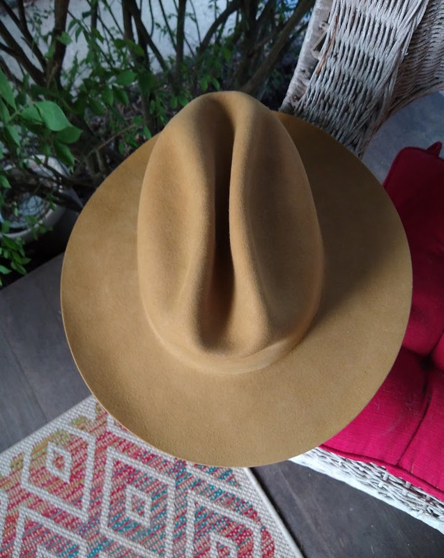 Campaign-Hat-1-A.jpg