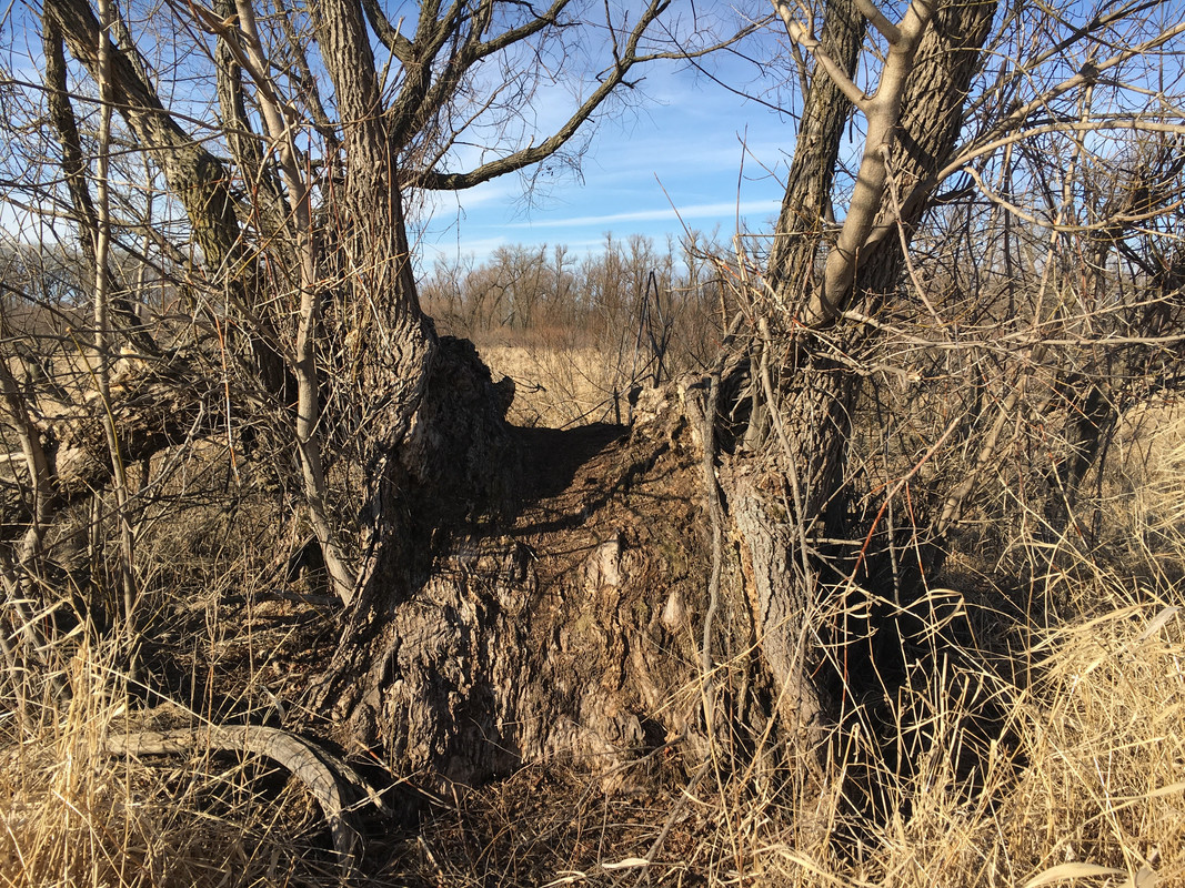 27827D46-57AC-45A2-9256-3BD9502F52C0