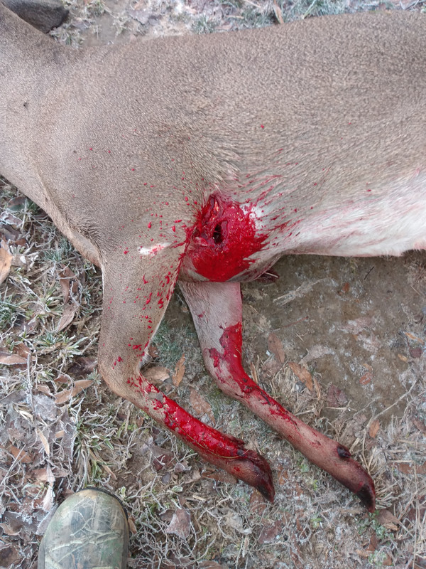 IMG_20220118_071500914