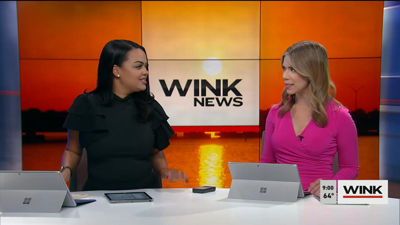 02.18 - 14.00.00 - WINK News at 9 00AM  ᴺᵉʷ. Morning news.ts_snapshot_00.07.09.749