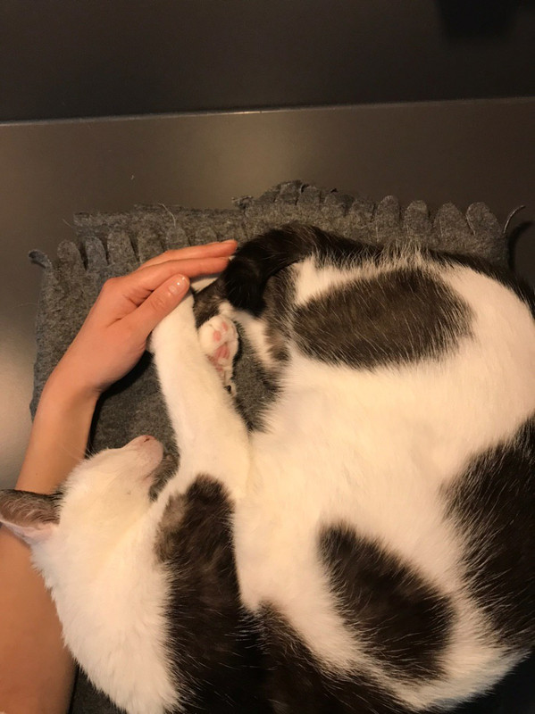 57B7206F-FB77-44F1-ABF2-47C43C439C47