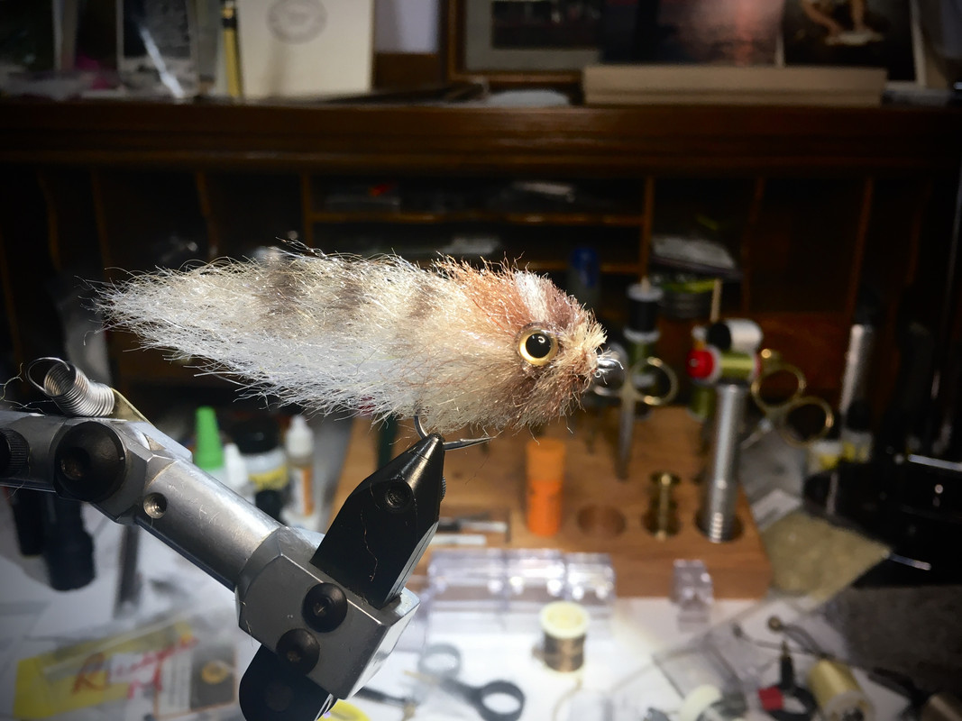 4F83CD53-5B2D-4EB5-A26B-C1941A0D4410