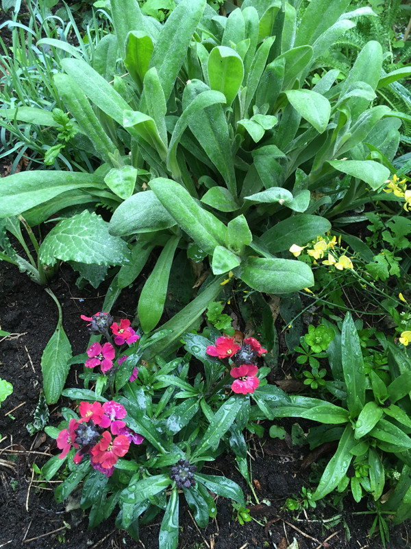 2BDDA26F-1C1B-4B3F-BE81-CAD4C0F35F12