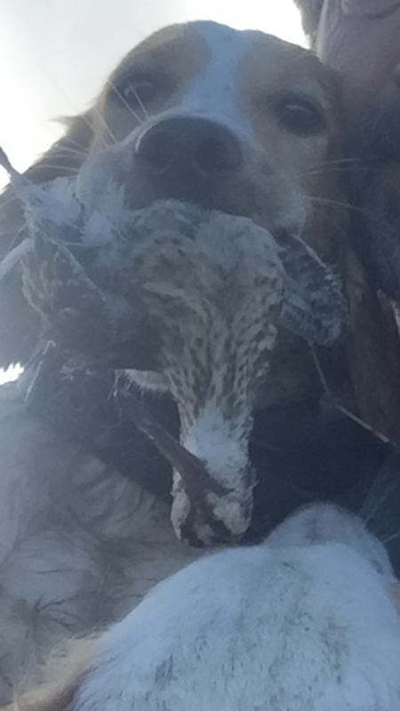 B1E6A3A5-F106-41E2-94E7-5B75215198B8