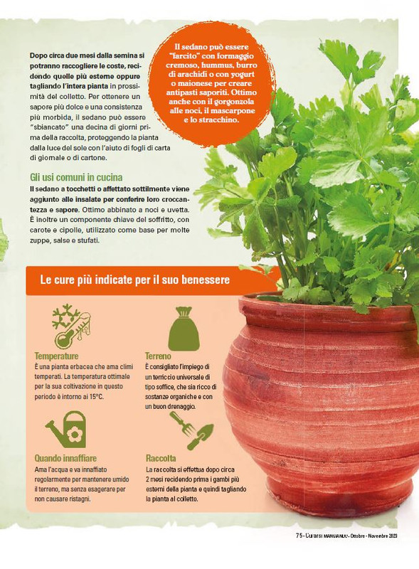 Cur Mang Ott.Nov 2023 (12)