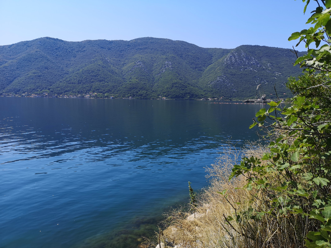 [Obrazek: IMG-20190807-112152.jpg]