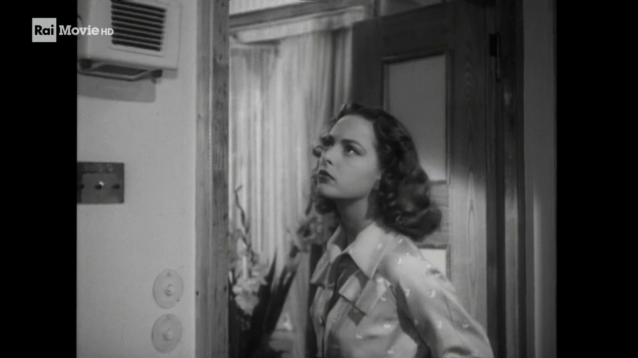 vlcsnap-2021-05-21-18h50m39s281