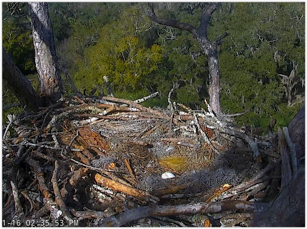 Screen Shot 01-16-20 at 08.37 PM