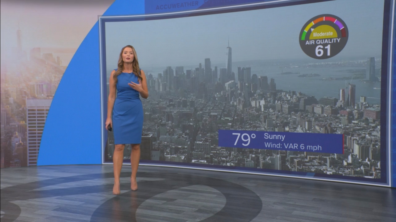 Eyewitness News Mornings at 10_20250811_15001600.ts_snapshot_44.58.696