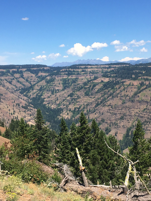 56A4384C-AF07-4265-A6D7-F3A2C785829D