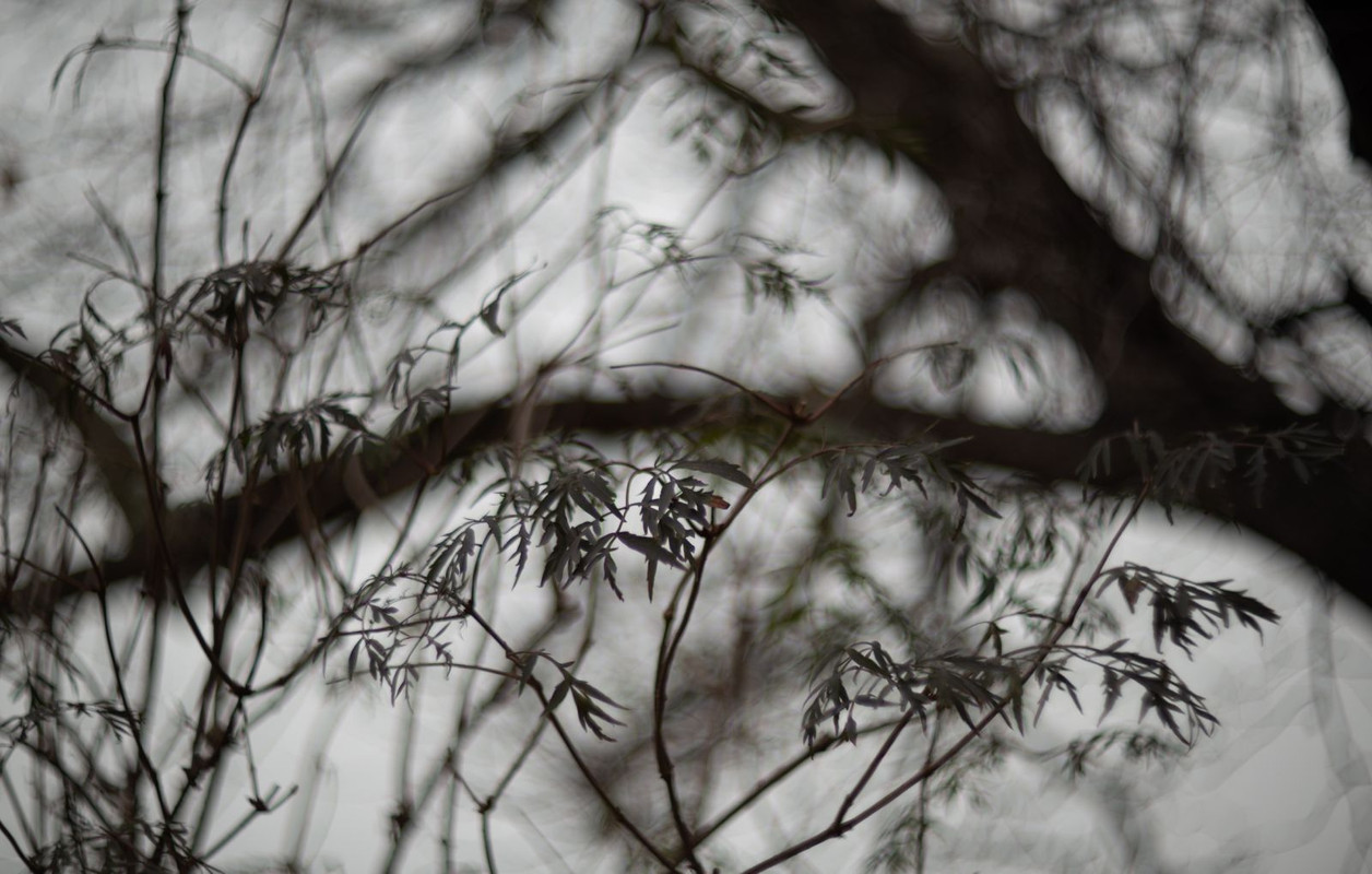 IMG-370e9ed99ebd01b5928769ee43a814fa-V