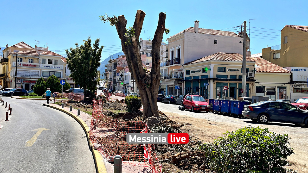 δεντρα image00010