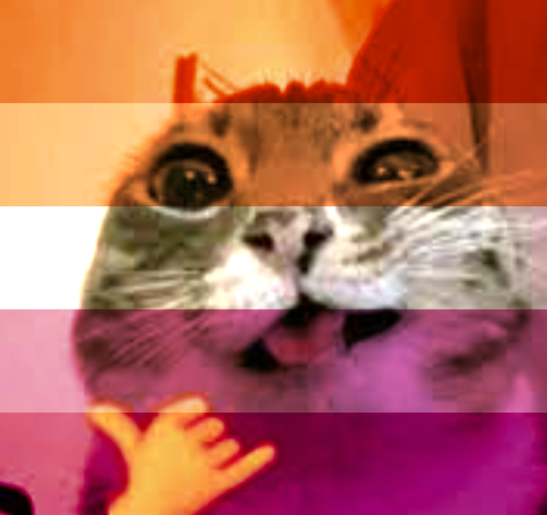 Image inserted here