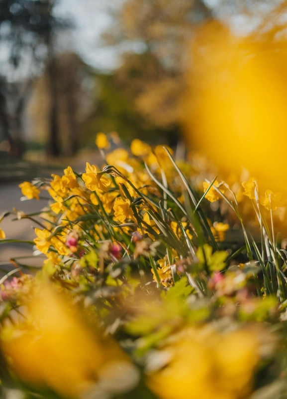 Screenshot_20240501_150000_Threads