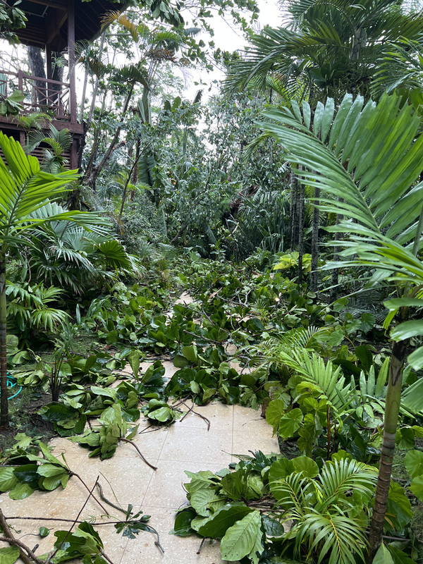 BBBF683F-1CA1-43F4-854F-24BC55625A8F