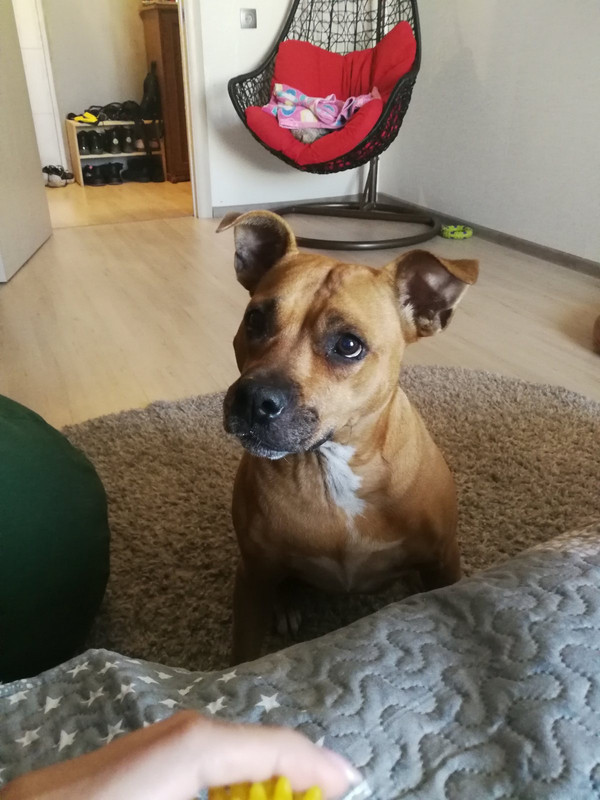 7C7932A2-EA8C-43C0-8B59-7E957F34EDD0