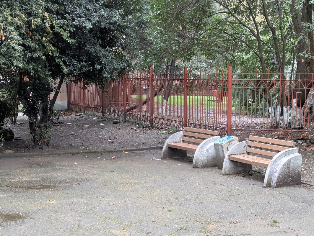 PXL_20250404_074035400