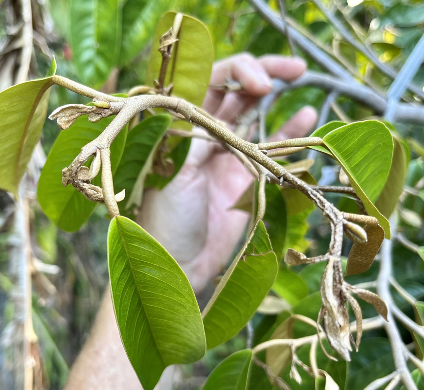 7529F526-486A-4721-AC13-30819C8285B5