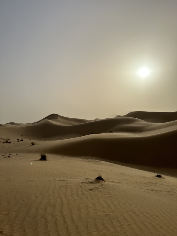 A802C067-2471-485C-A51F-738BEC39D022