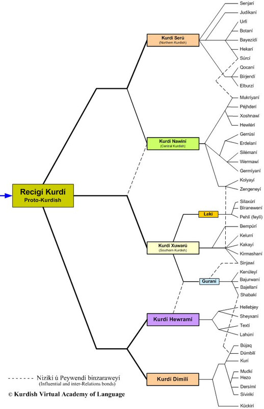 kurdish-genealogy-tree.jpg