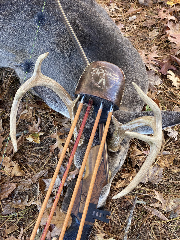 C3C1F6F8-6009-4C3B-BB5E-129F1D53D081