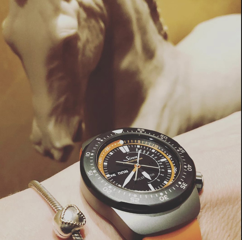 BD6C6BBE-8BB2-48ED-95B6-55F3FDD25442