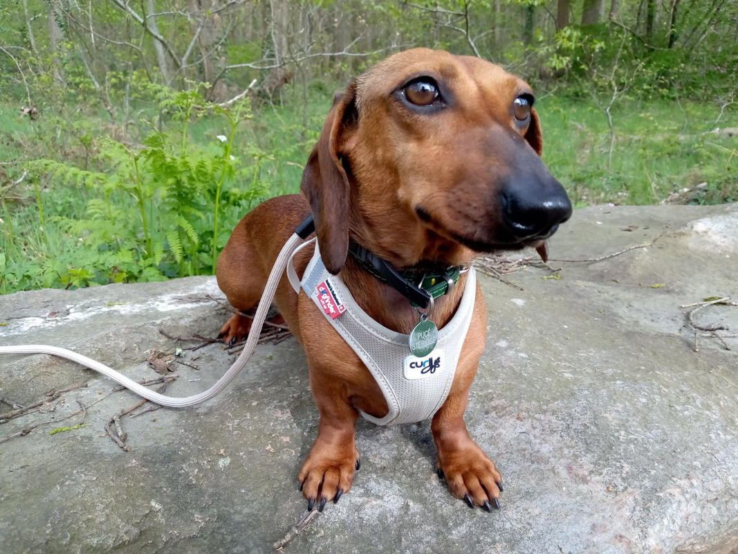 [Image: IMG-20240410-203715.jpg]