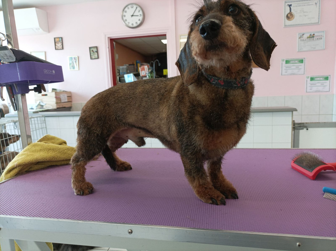 [Image: image000000-299.jpg]