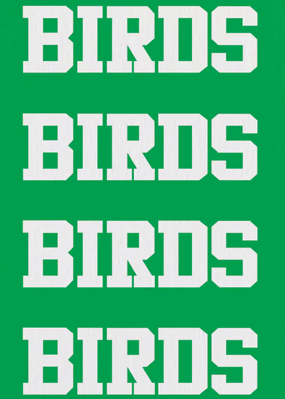 birds