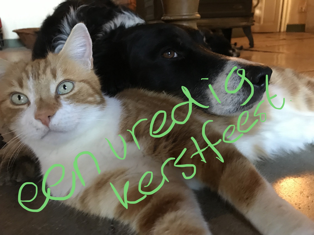 B89EF333-8F01-478B-A066-5DDBB9AE67A5