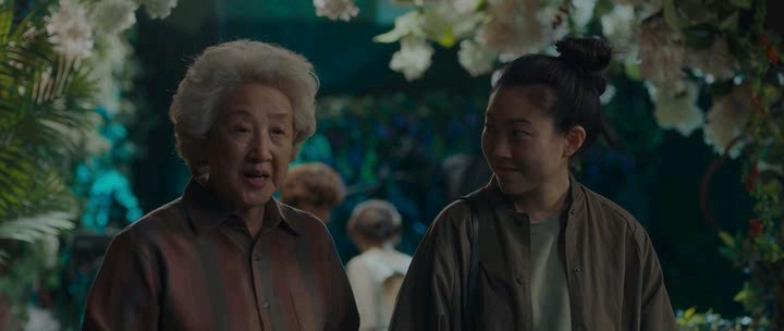 The.Farewell.Una.Bugia.Buona.2019.iTALiAN.BDRiP.AC3.XviD.avi_snapshot_00.38.48.625