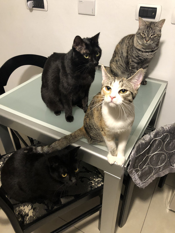 76F55FAC-5F27-473D-AE5E-FAA18E7EFA7C