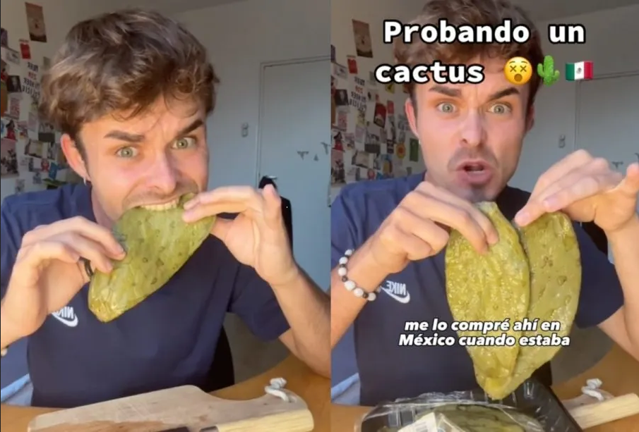 Español se hace viral por probar los nopales y los llama ‘cactus’ (Video)