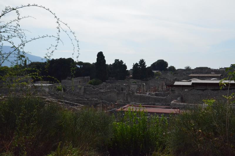 Italia y sus pueblos-2018/2019/2023 - Blogs de Italia - POMPEYA-20-9-2018 (64)