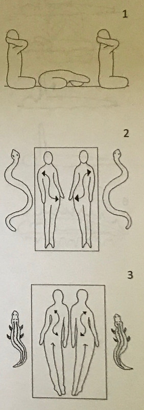 ЛёгкиеГруднаяКлеткаЛимфа