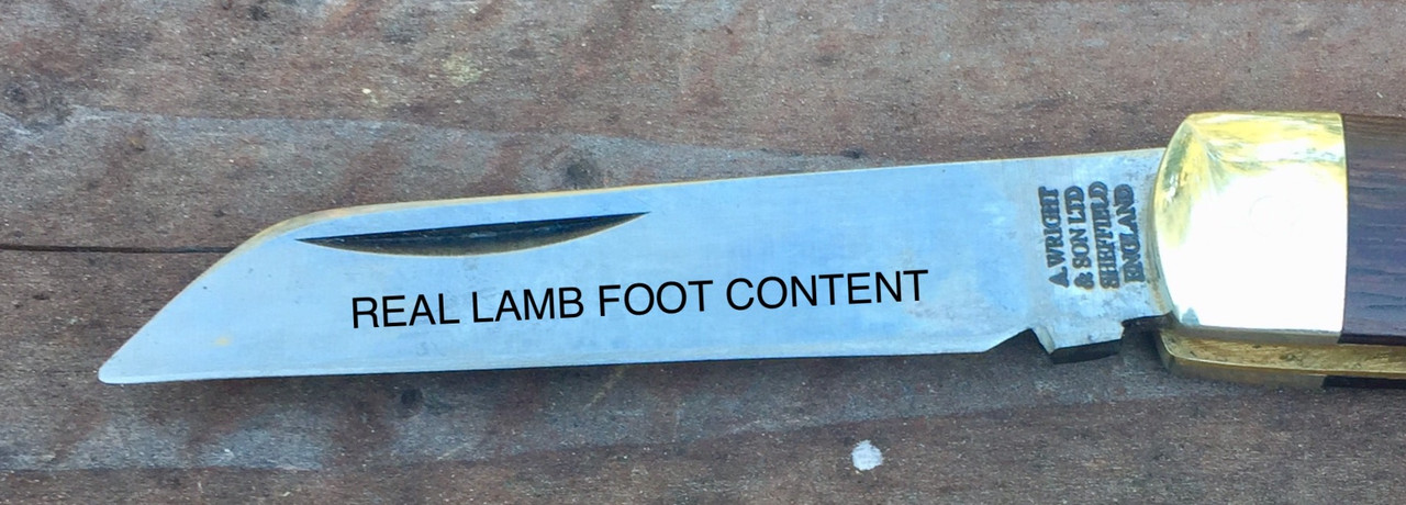 72ECD9BA-0C7A-4B2E-A1E2-B68E6E00374C