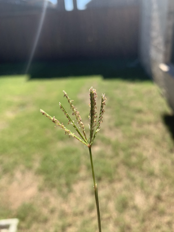 CB12AF89-2EF0-4674-BA53-2B7BF8456504