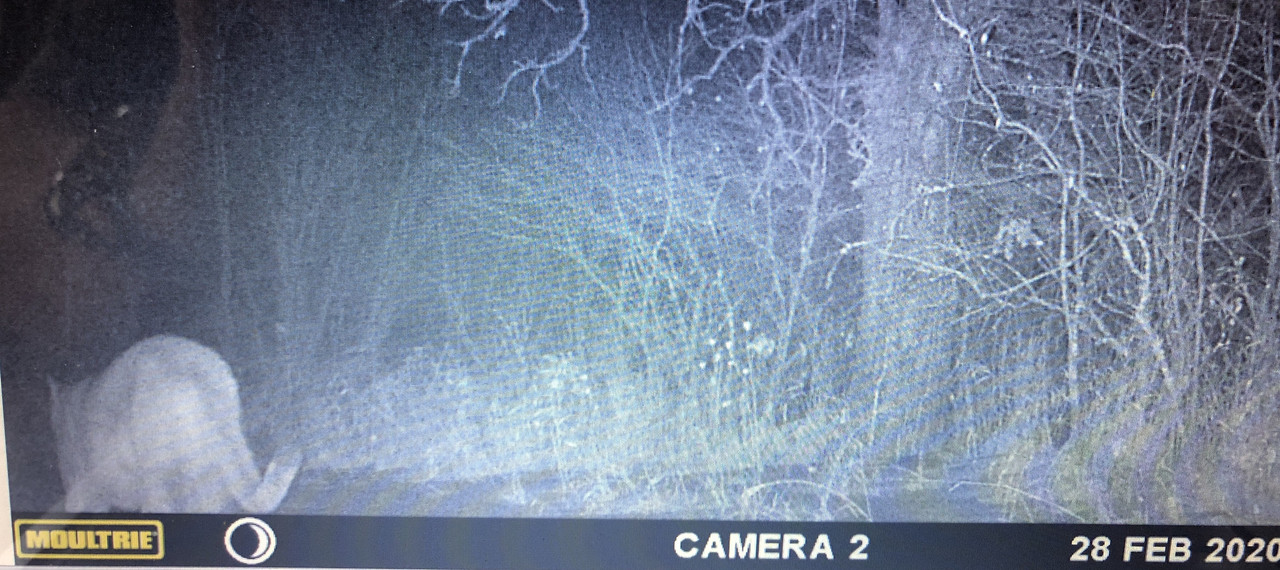 5-CD01159-1134-4-B22-9906-A1-CF30-D8-B44