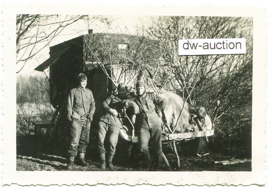 Sturmgeschütz Abt. , Fahrzeug