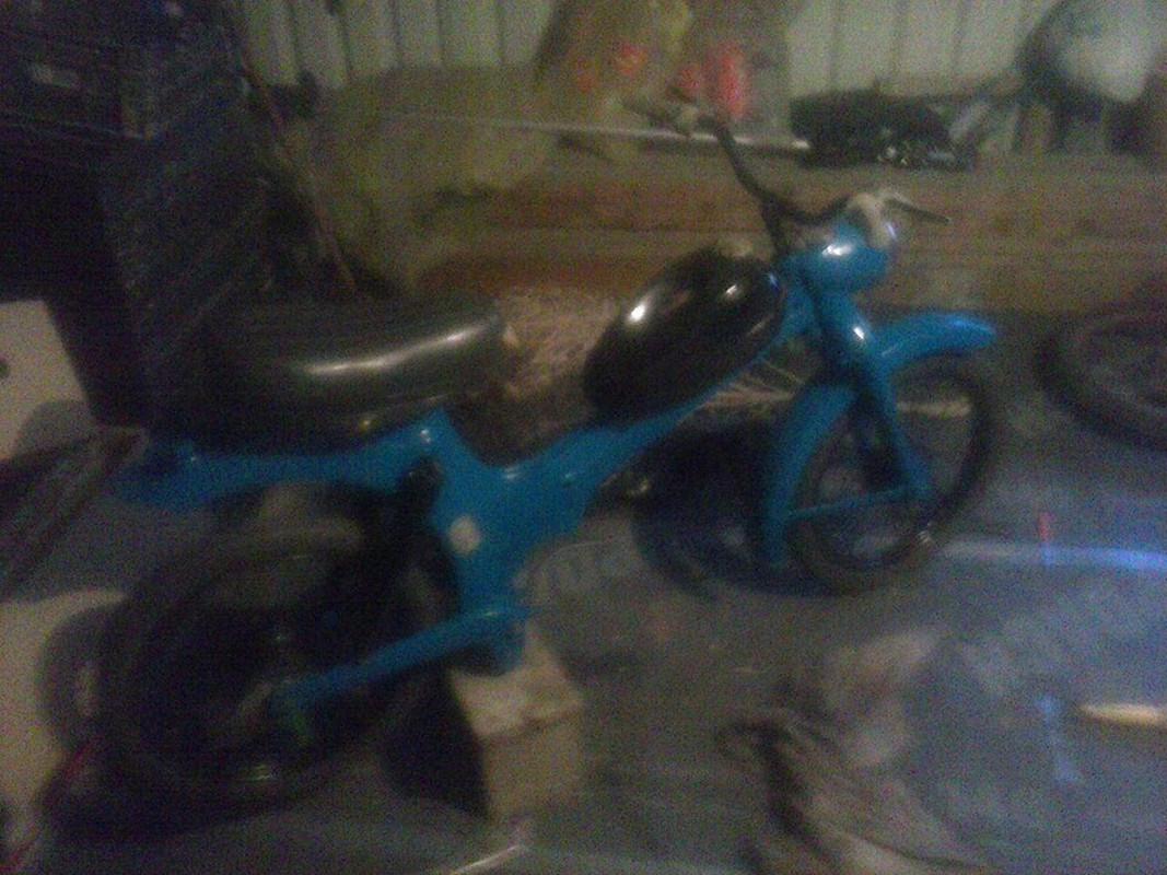 10463903_292959644217600_7318512688519086017_n