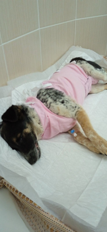 C5195D6A-A6E1-4C6A-8BE1-B05BE604B4C4